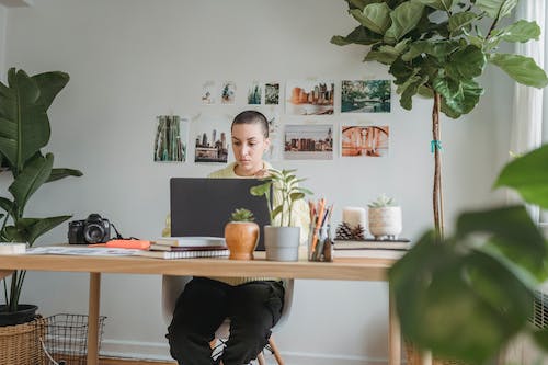Free Pensive female photographer browsing netbook while sitting at wooden table with photo camera in light room with potted green plants Stock Photo