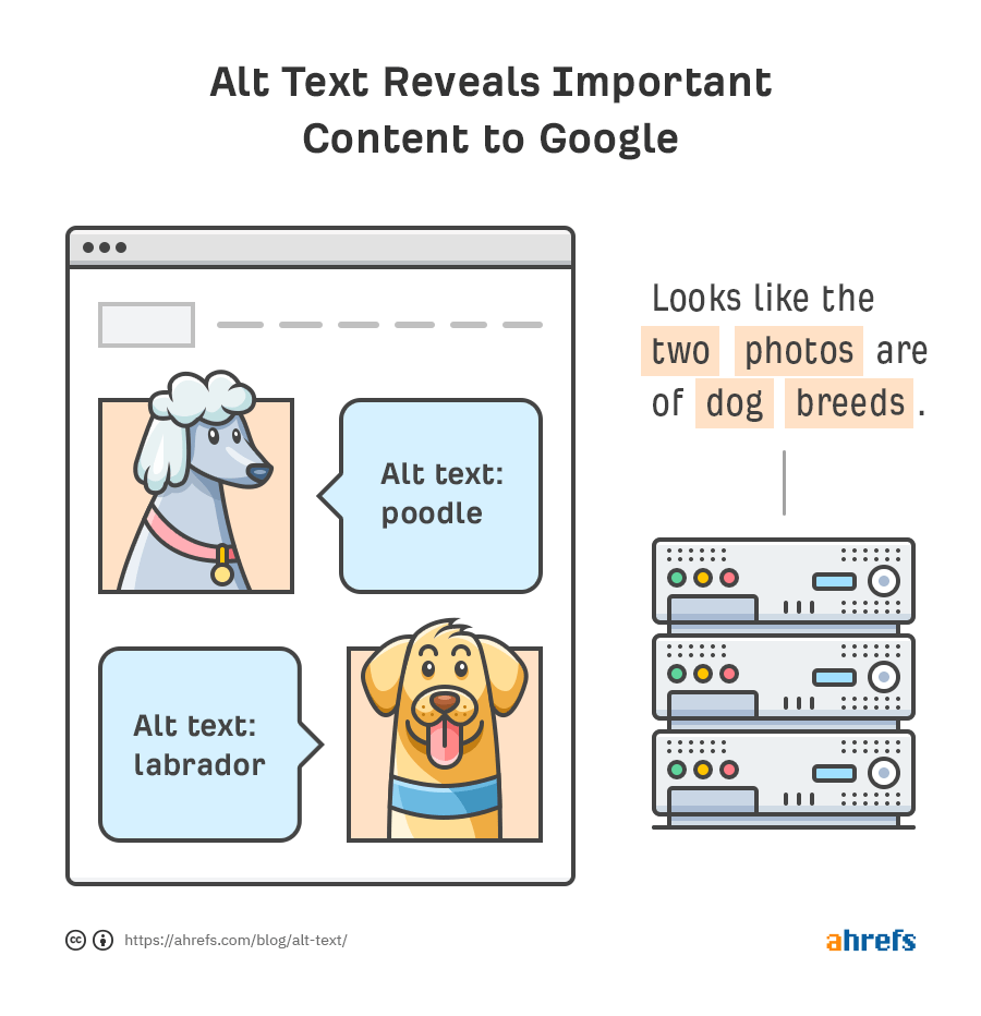 Alt Text for SEO: How to Optimize Your Images