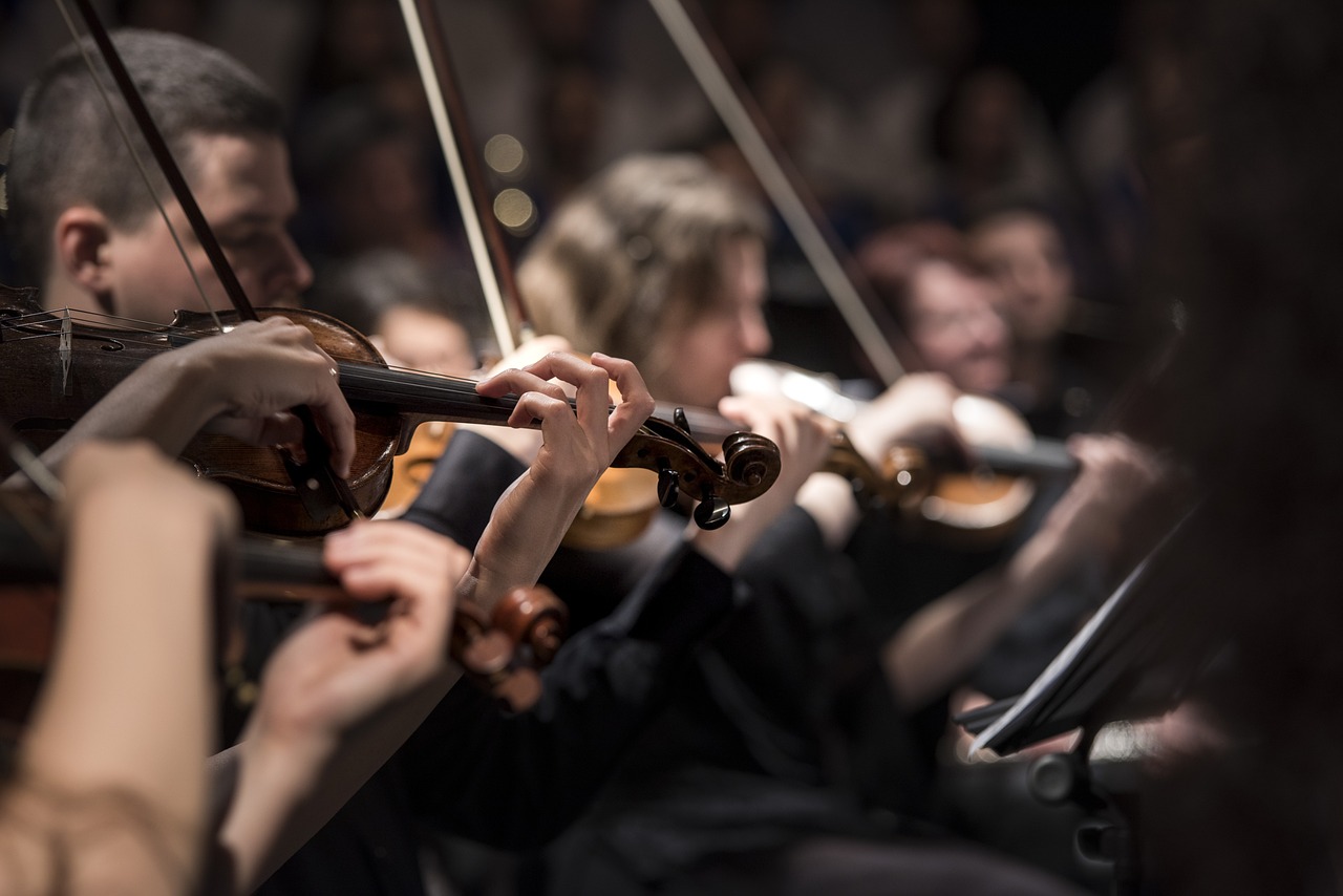 people playing violin