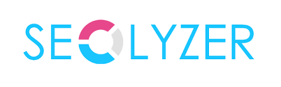 Seolyzer logo.