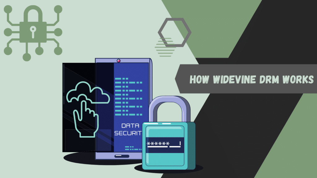Widevine DRM: How Does This Digital Rights Management Software Solution Work? Softlist.io