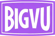 BIGVU