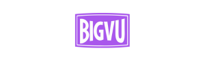 bigvu logo