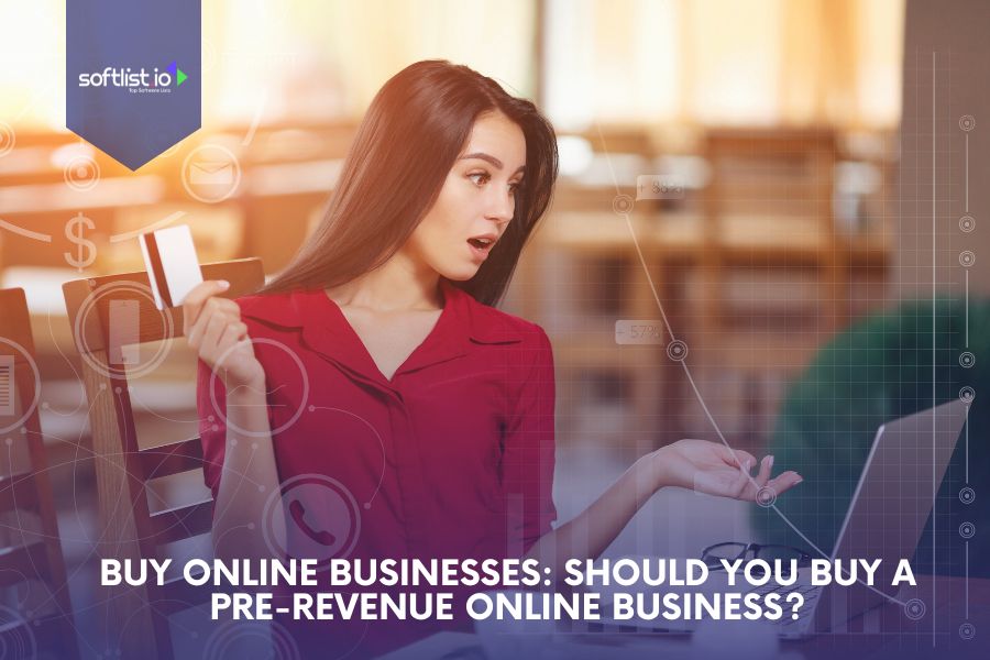 Buy an Online Business: Buy a Pre-Revenue Online Business?