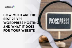 How Much are the Best 25 VPS WordPress Hosting And What It Does for your Website