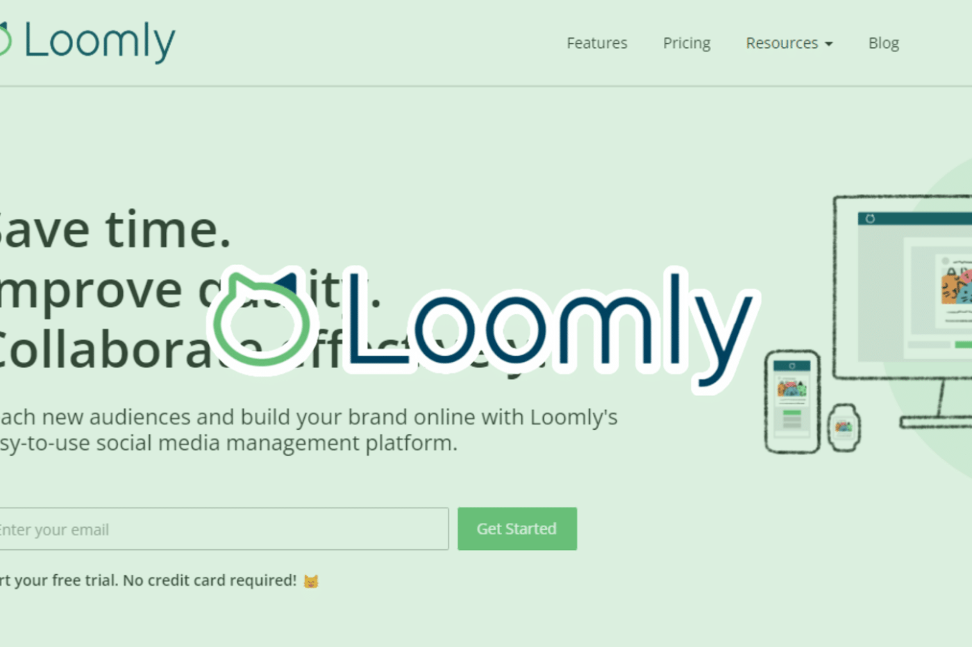 Loomly: Social Media Management Software| Review