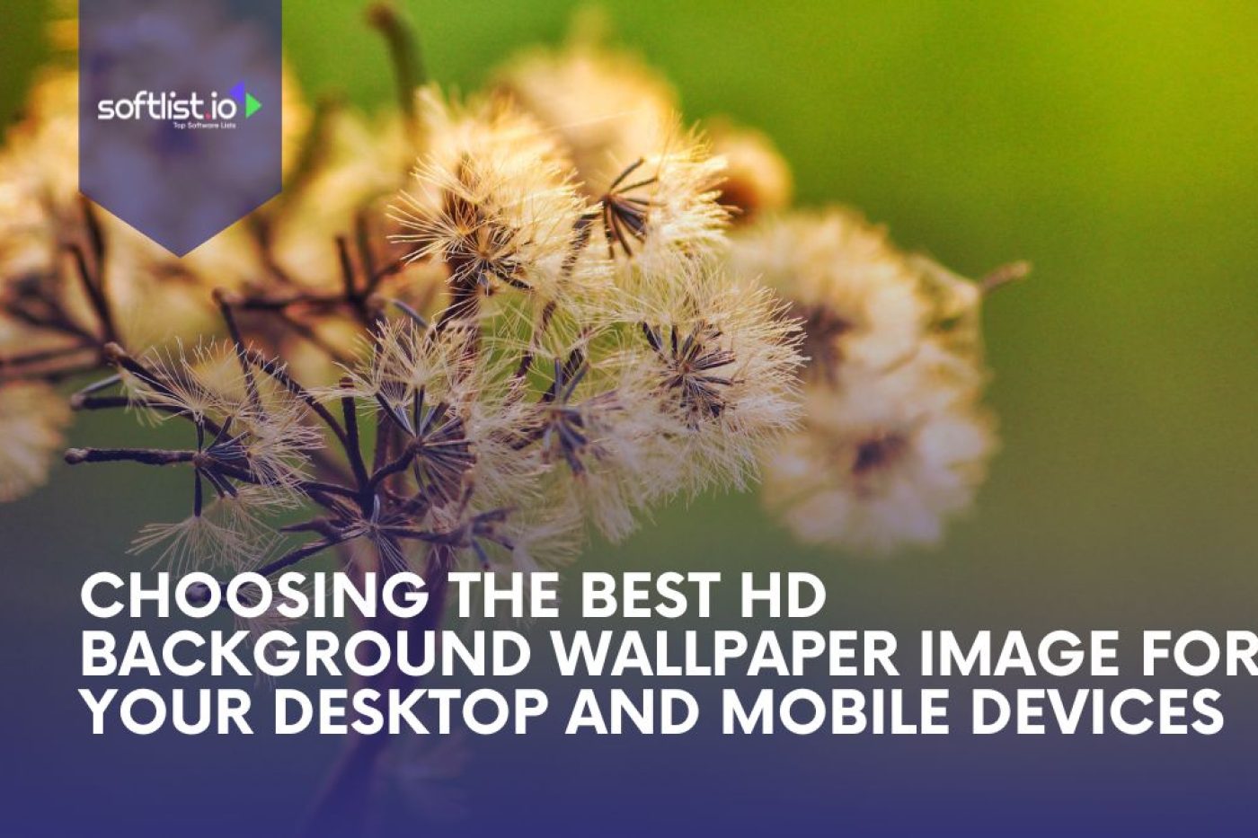 Choosing the Best HD Background Wallpaper Image for Your Desktop and Mobile Devices