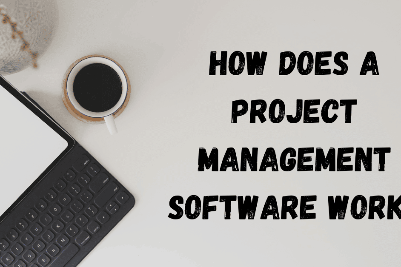 How Does a Project Management Software Works