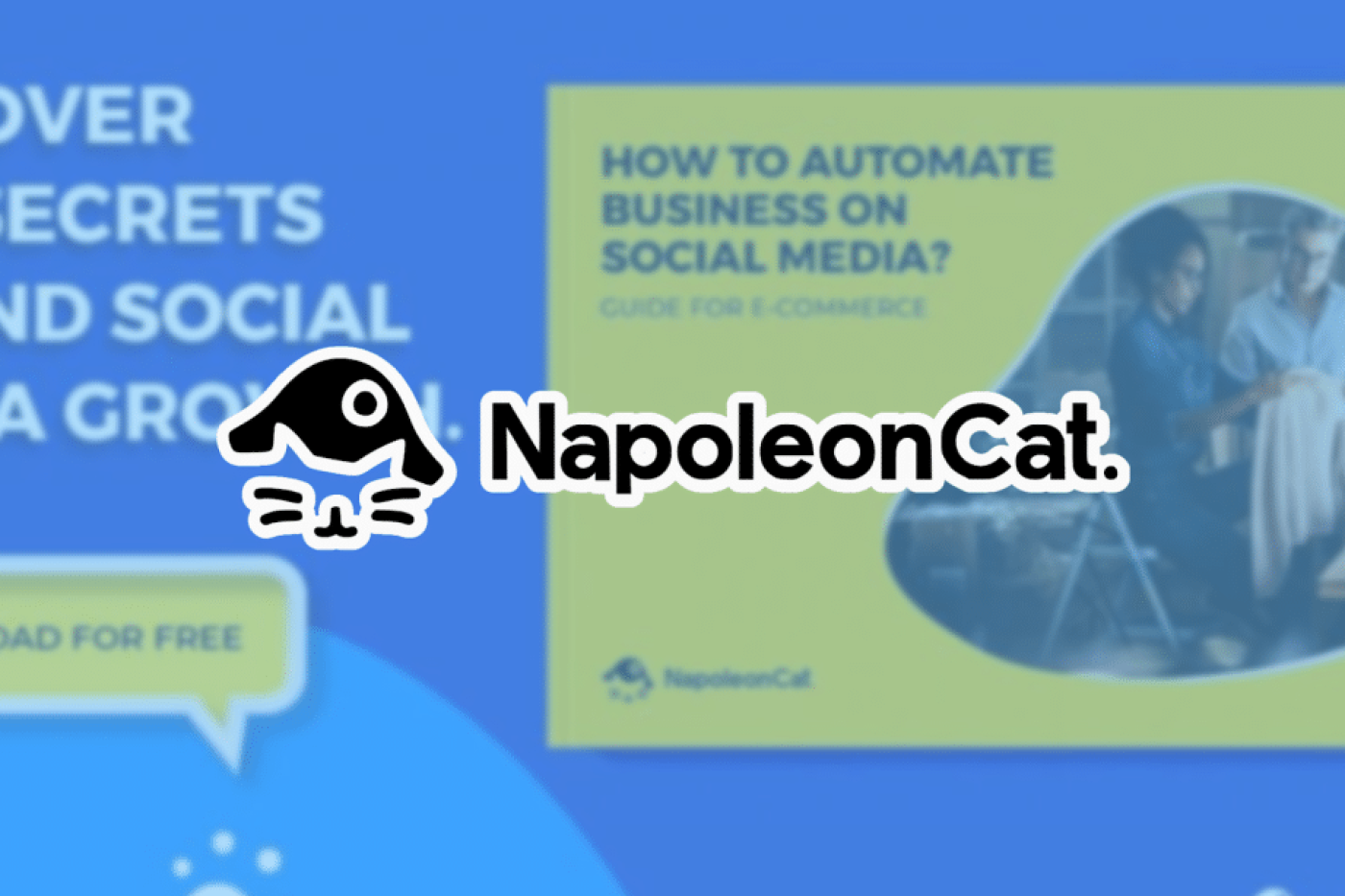 NapoleonCat: Automated Apps | Review